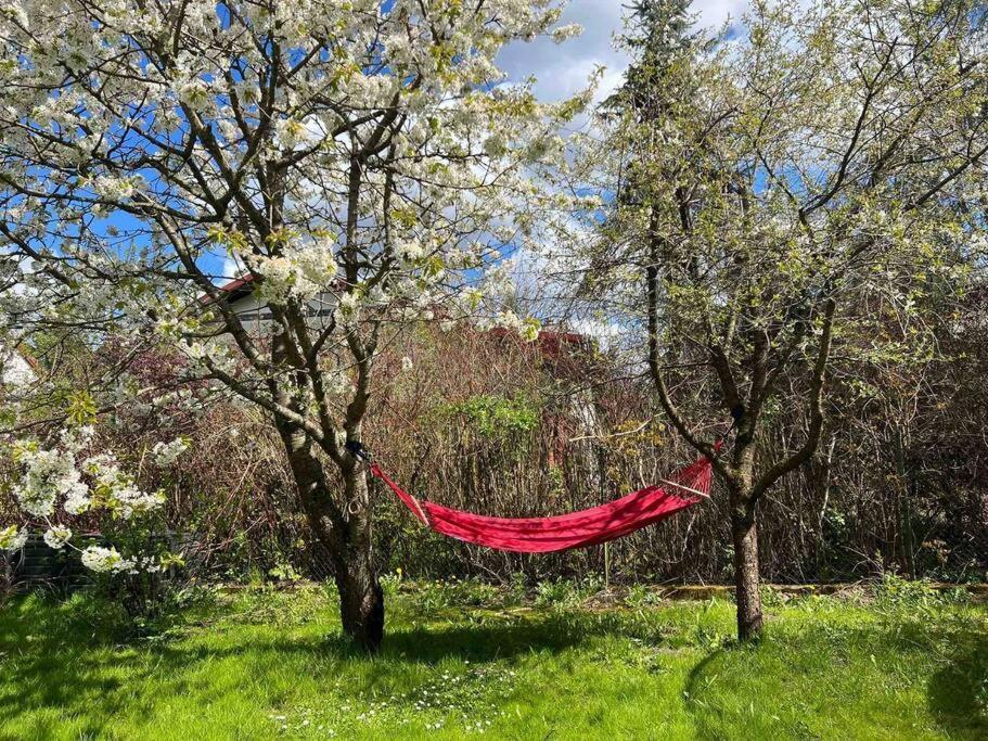 Apartament W ,Chlewiku” Gołdap Dış mekan fotoğraf