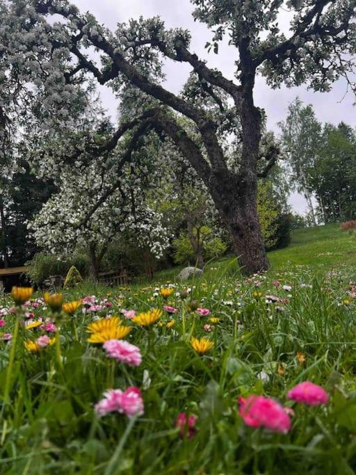 Apartament W ,Chlewiku” Gołdap Dış mekan fotoğraf